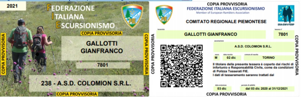 Immagine Tessera FIE