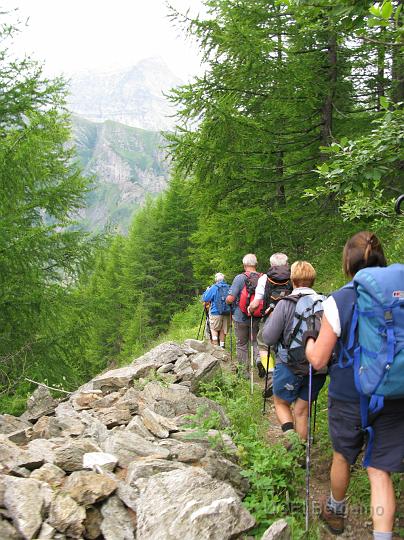 IMG_3228.JPG - In cammino sul Sentiero dei Fiori