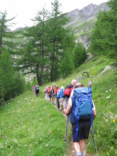 IMG_3230.JPG - In cammino sul Sentiero dei Fiori