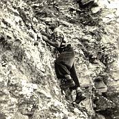 1952 - Ricerca delle Stelle Alpine