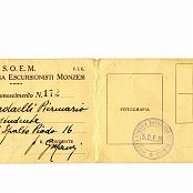 retro tessera unire in una solo foto