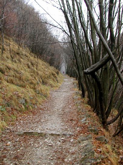dscn2905.jpg - Il sentiero verso Selvino