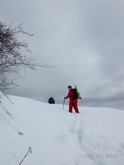 dscn2911.jpg - Sui prati innevati del versante sud del Poieto